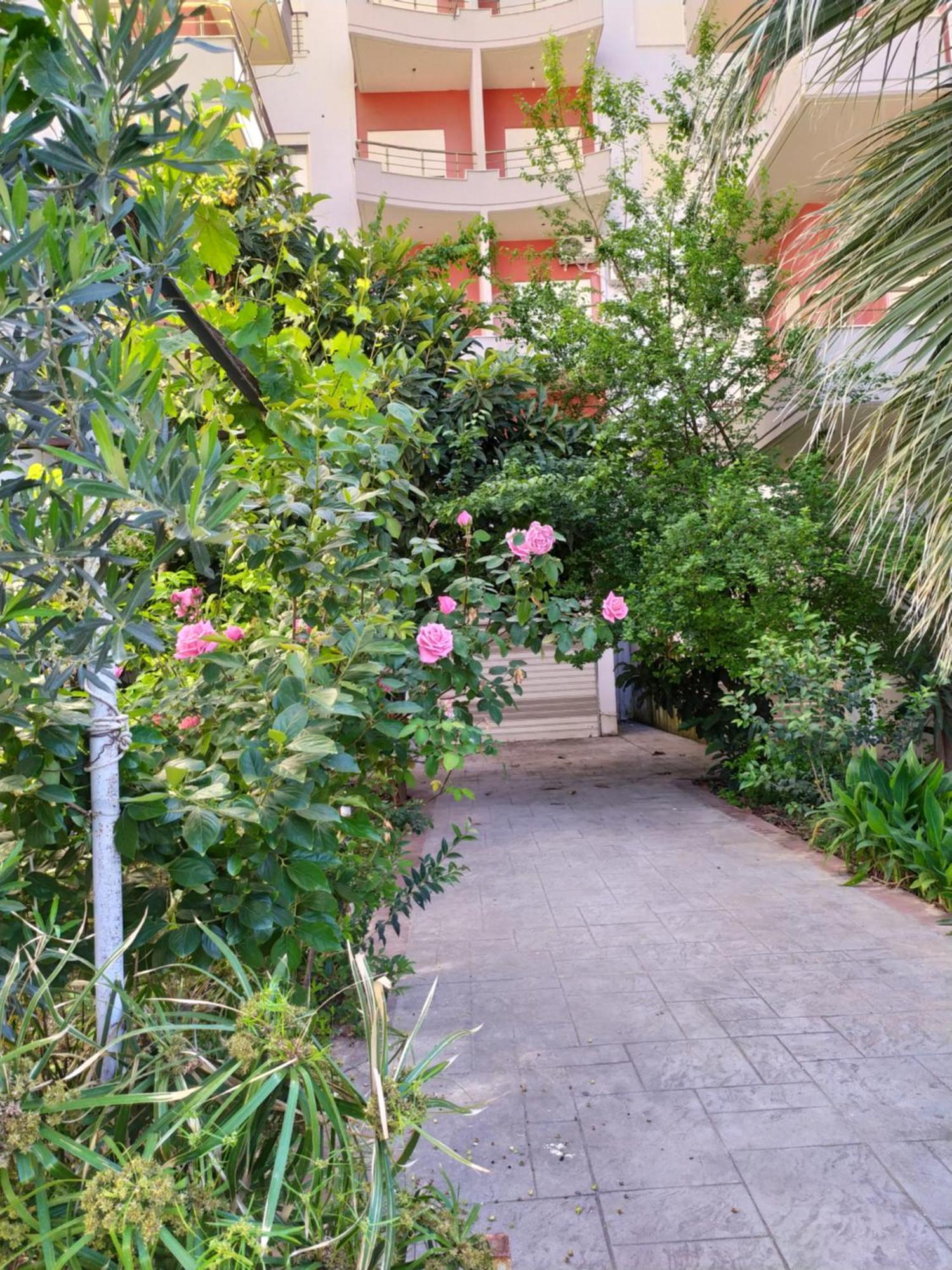 Valbona Apartments فلورا المظهر الخارجي الصورة