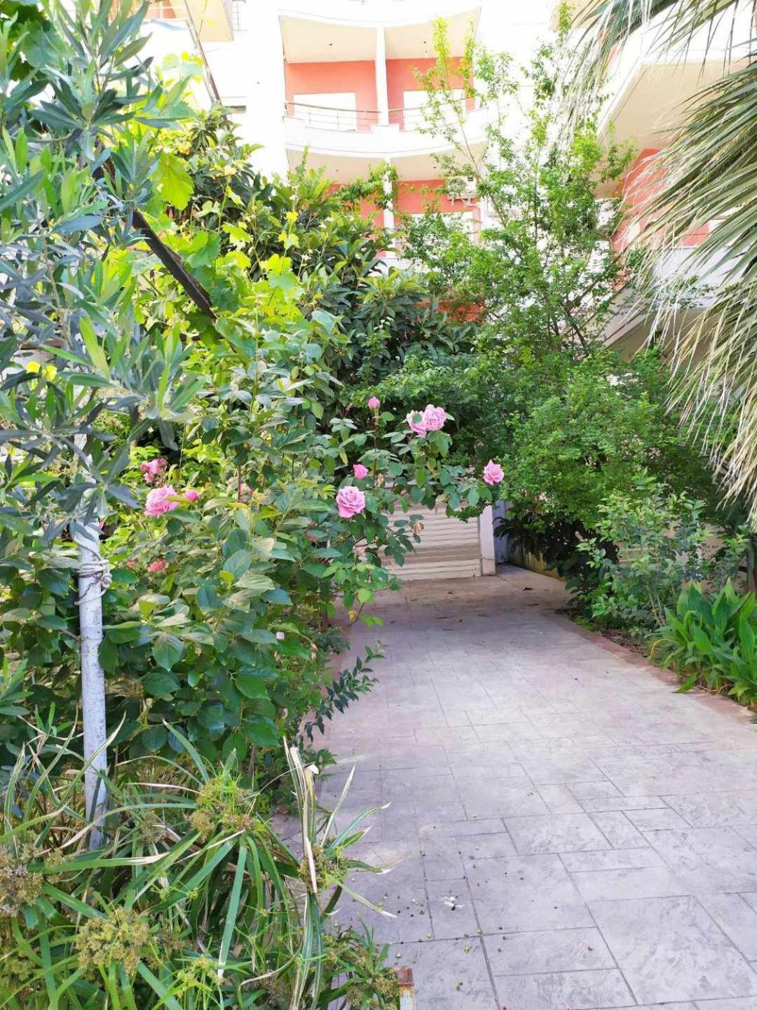 Valbona Apartments فلورا المظهر الخارجي الصورة